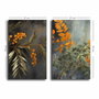 Wallity Conjunto de 3 Lienzos Decorativos Multicolor